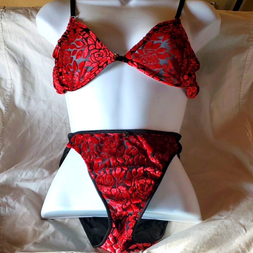 Secret Treasures set Bra 38B Panty 7 red roses mesh & velvet sexy